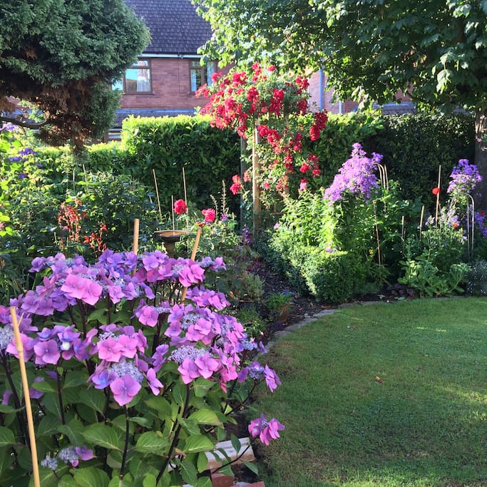 Garden in summer