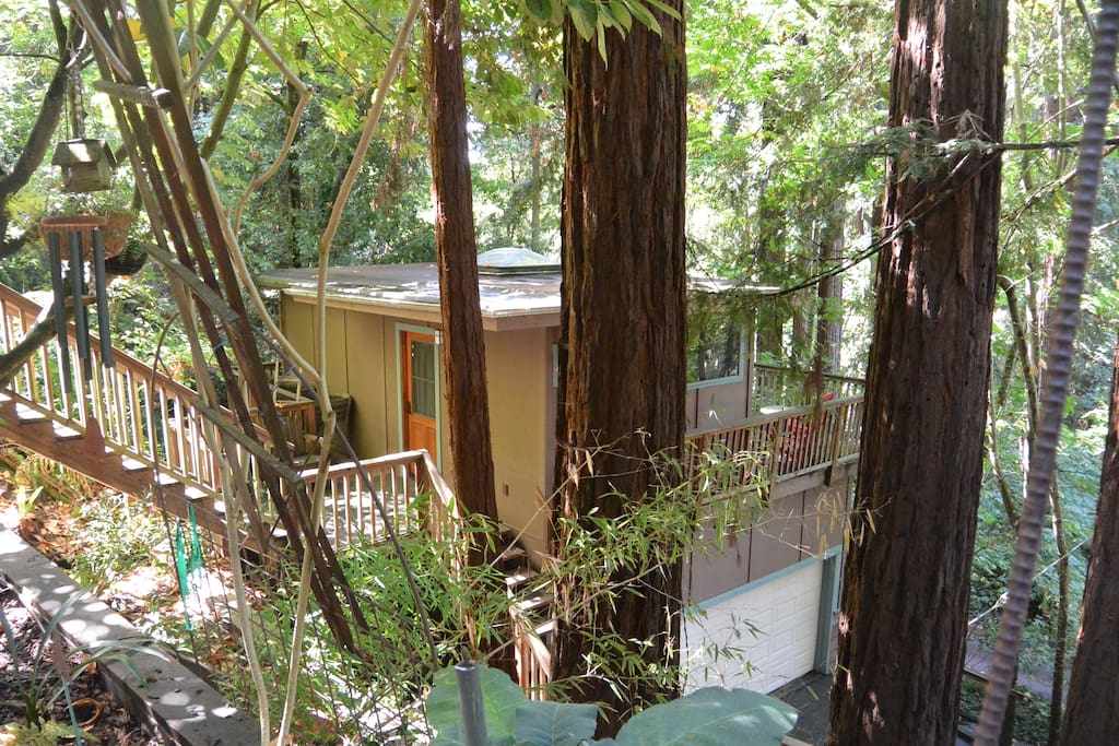 Treehouse-like Redwood Studio in Aptos