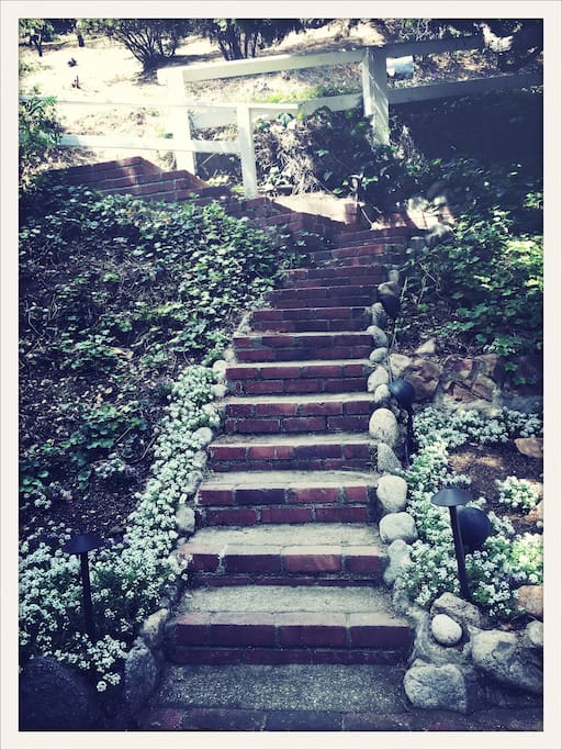 Front Garden Steps