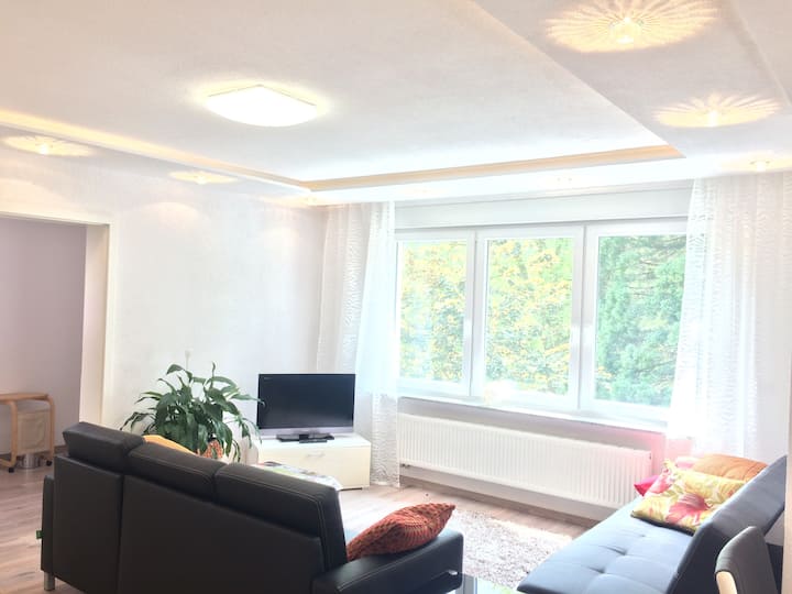 Suite with view on the Lichtentaler Allee Apartments for Rent in