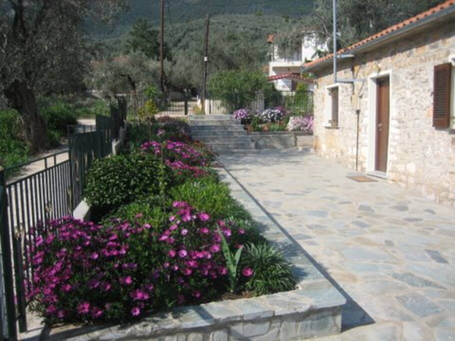 ENTRANCE TO COTTAGE