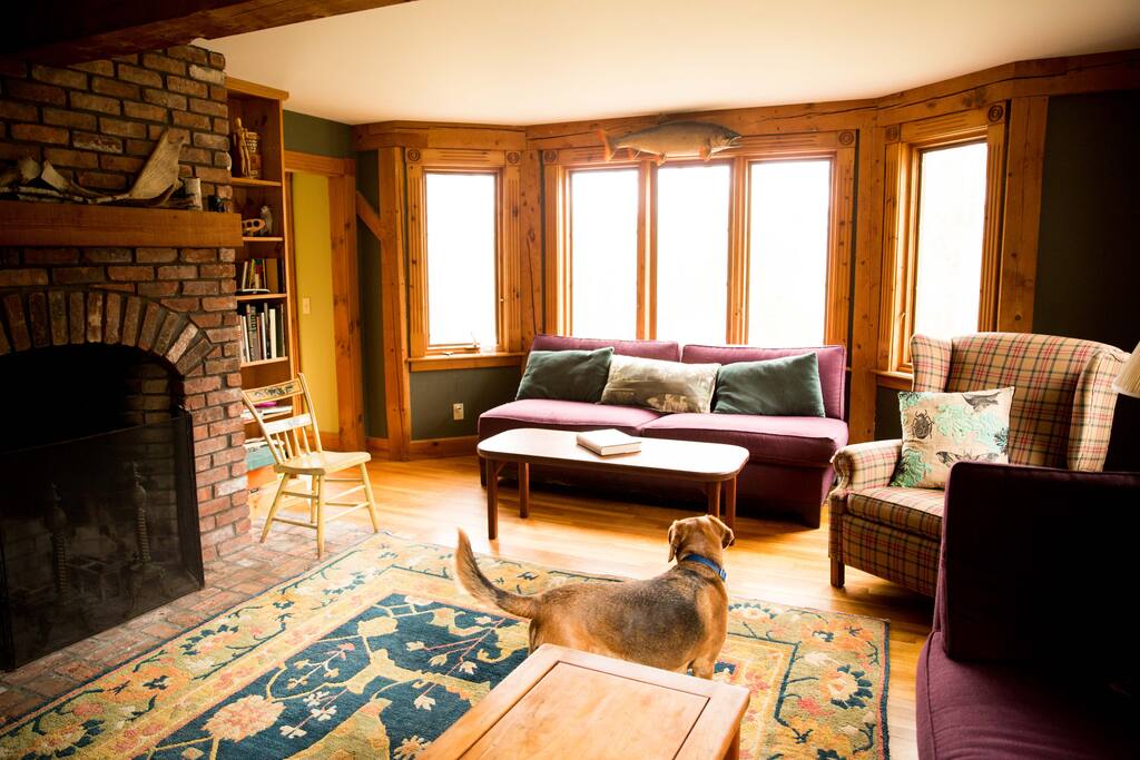 Living room with Max the dog!