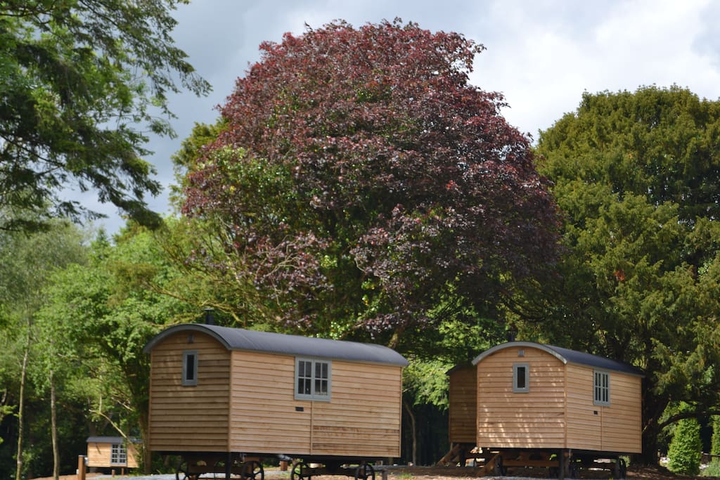Shepherd huts village set in the woodlands