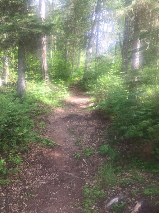 Trail to campsite.