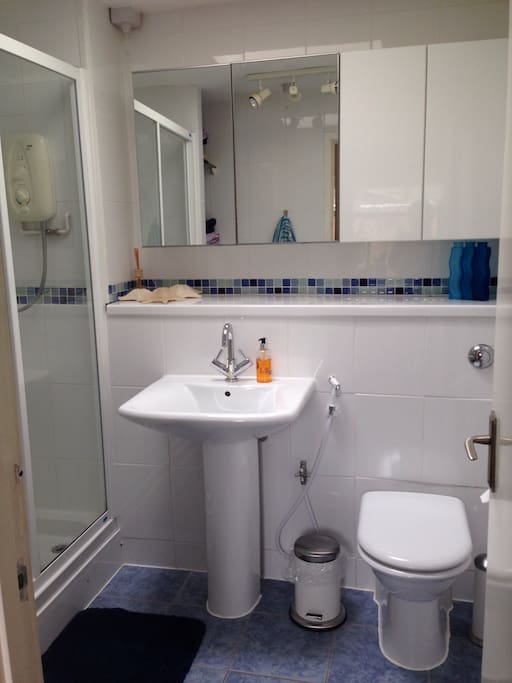 Private bathroom with shower