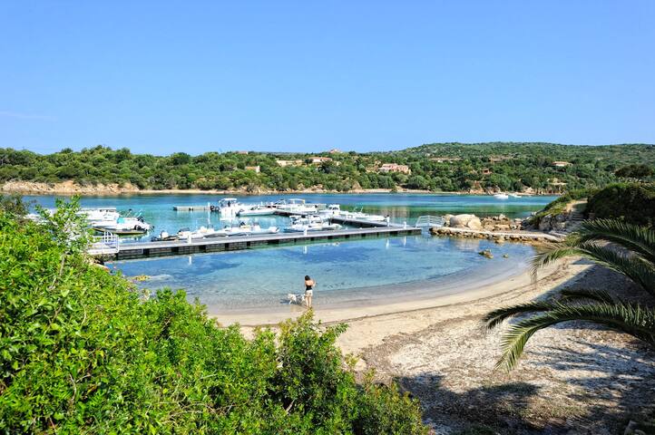 Download Plage de myrte 3 locations chambre For Free