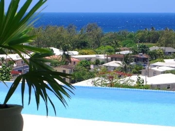 Villa With Sea Views Private Infinity Pool - Barbados