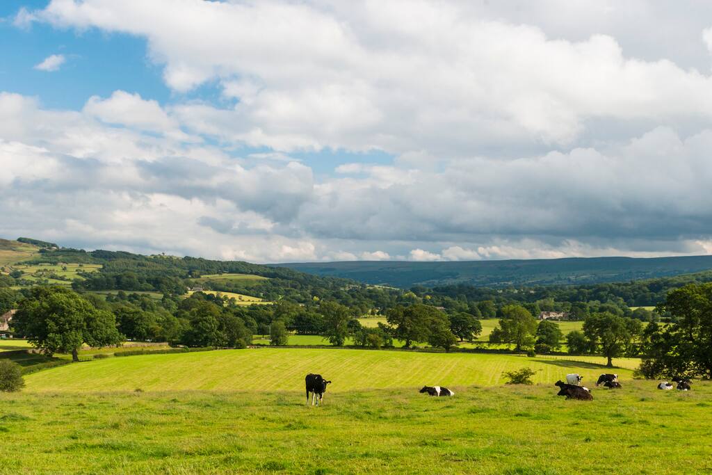 Stunning views
