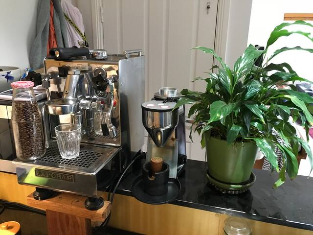 Inside a park. City views, Espresso, bikes sleep 7 gallery image 3