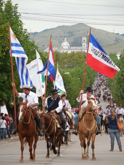 HORSE COUNTRY!