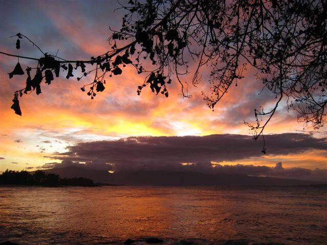 Oceanfront with pool & hot-tub gallery image 3