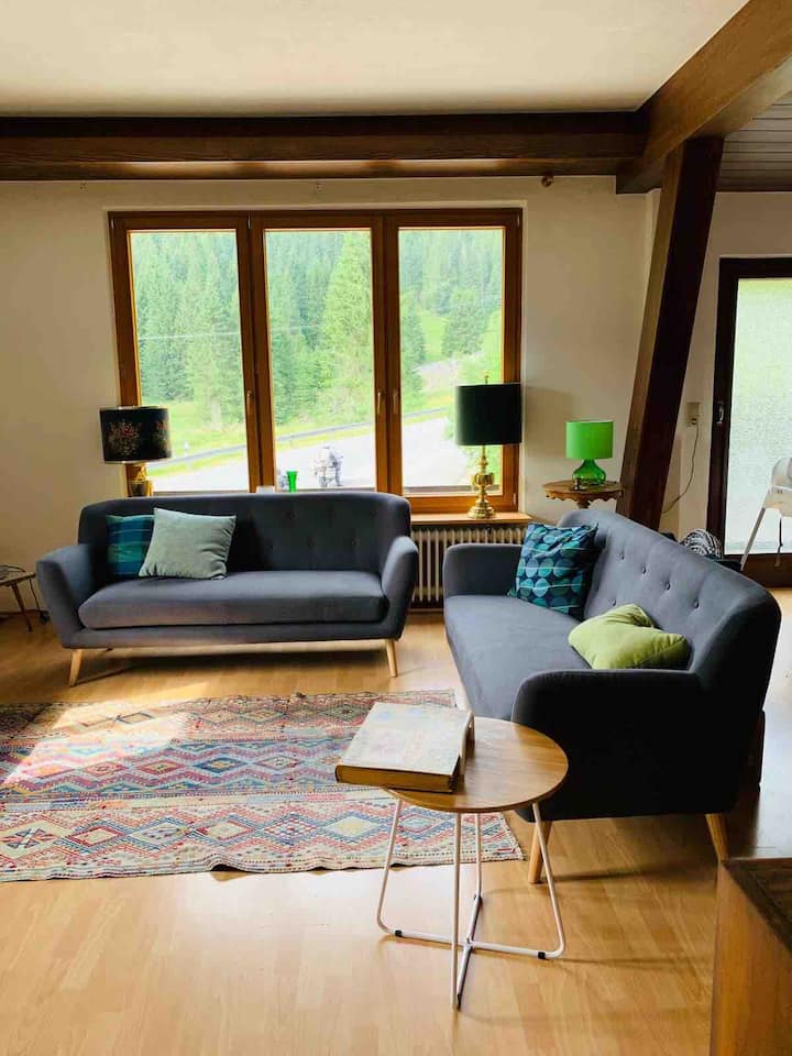 Big House In Blackforest - Feldberg