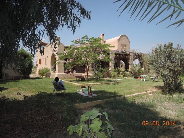Maison du Lac next to lake Qarun in Tunés village