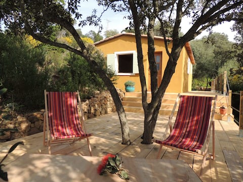 Successful Airbnb property: "The quiet lizard" in Coti Chiavari
