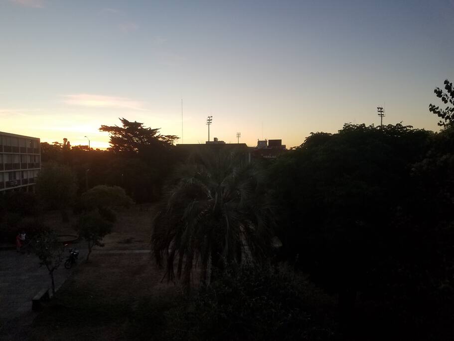 Vista del patio
