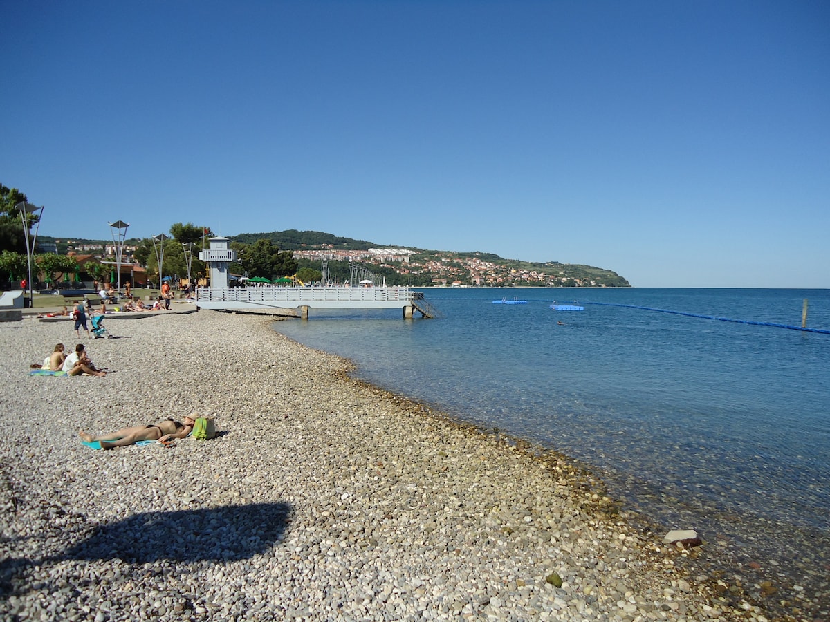 A pebbled beach borders a calm blue sea, with several sunbathers relaxing on the shore. In the distance, a wooden pier extends into the water, and a gently sloping hillside is visible with residential buildings lining its edge under a clear blue sky.