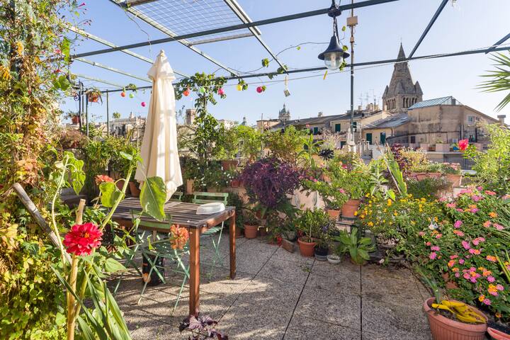 camera centrostorico