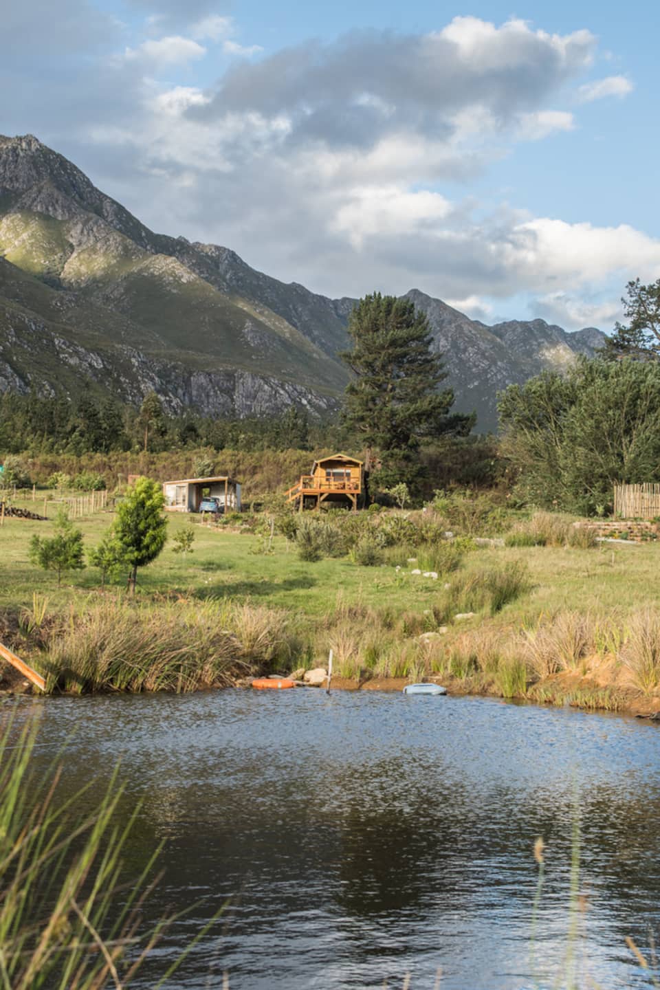 An off-grid treehouse in the Hermitage Valley, Swellendam, Western Cape, South Africa, photo 2 of 10