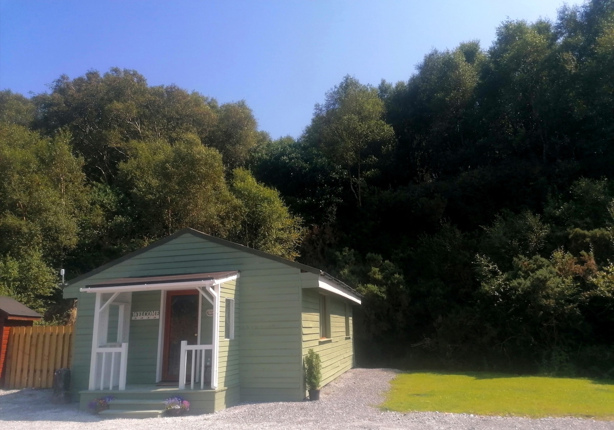 A charming cabin in a tranquil setting is framed by lush greenery and tall trees. The exterior features green siding and a welcoming front porch, surrounded by a gravel area. Sunlight illuminates the scene, highlighting the natural beauty of the surrounding flora.