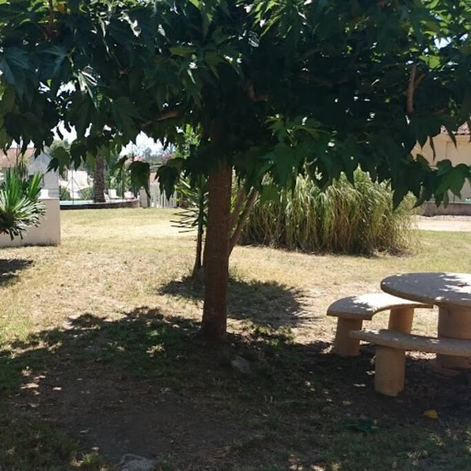 Vue de la terrasse