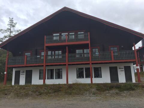 Idre fjäll 8 beds with skiin/skiout location