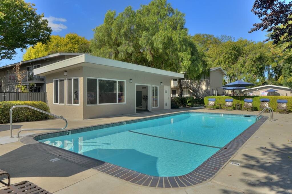 The pool