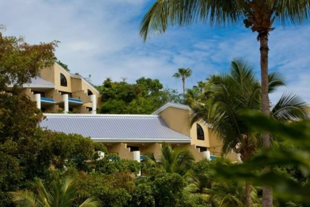 The Hillside Villas