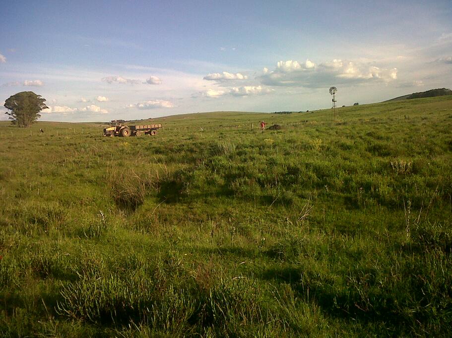 campos de la zona