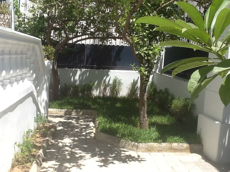Notre jardin et entree principale