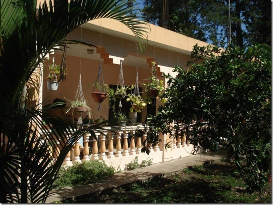 La maison au milieu d'un jardin tropical...Grande terrasse pour le petit-dejeuner...