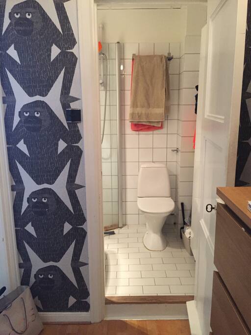 Bathroom wc and shower.