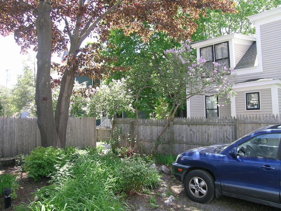 Front garden and public path