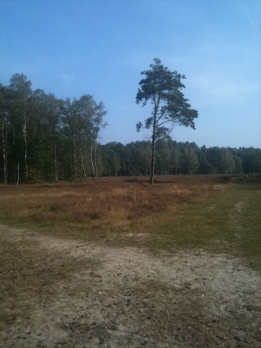 park en weide in de omgeving Schalkhaar