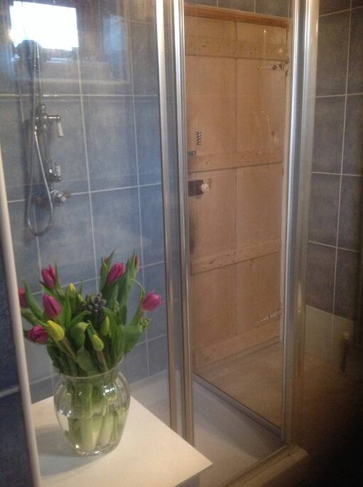 Double en-suite shower room