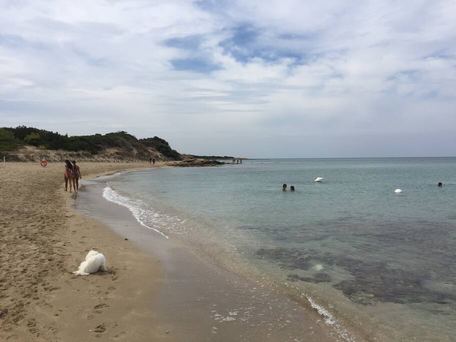 Mare