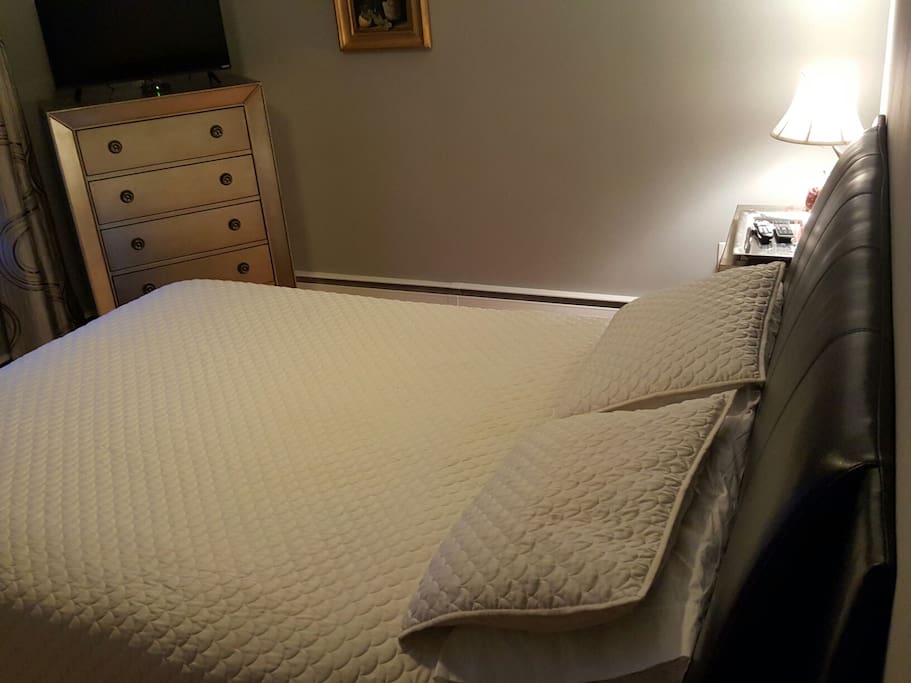 Executive Queen Bed with New Pier One Dressed and Night Stand