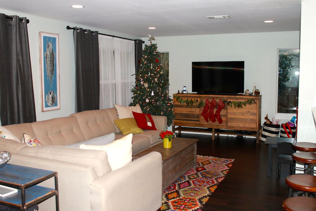 Large living room with pull-out queen bed