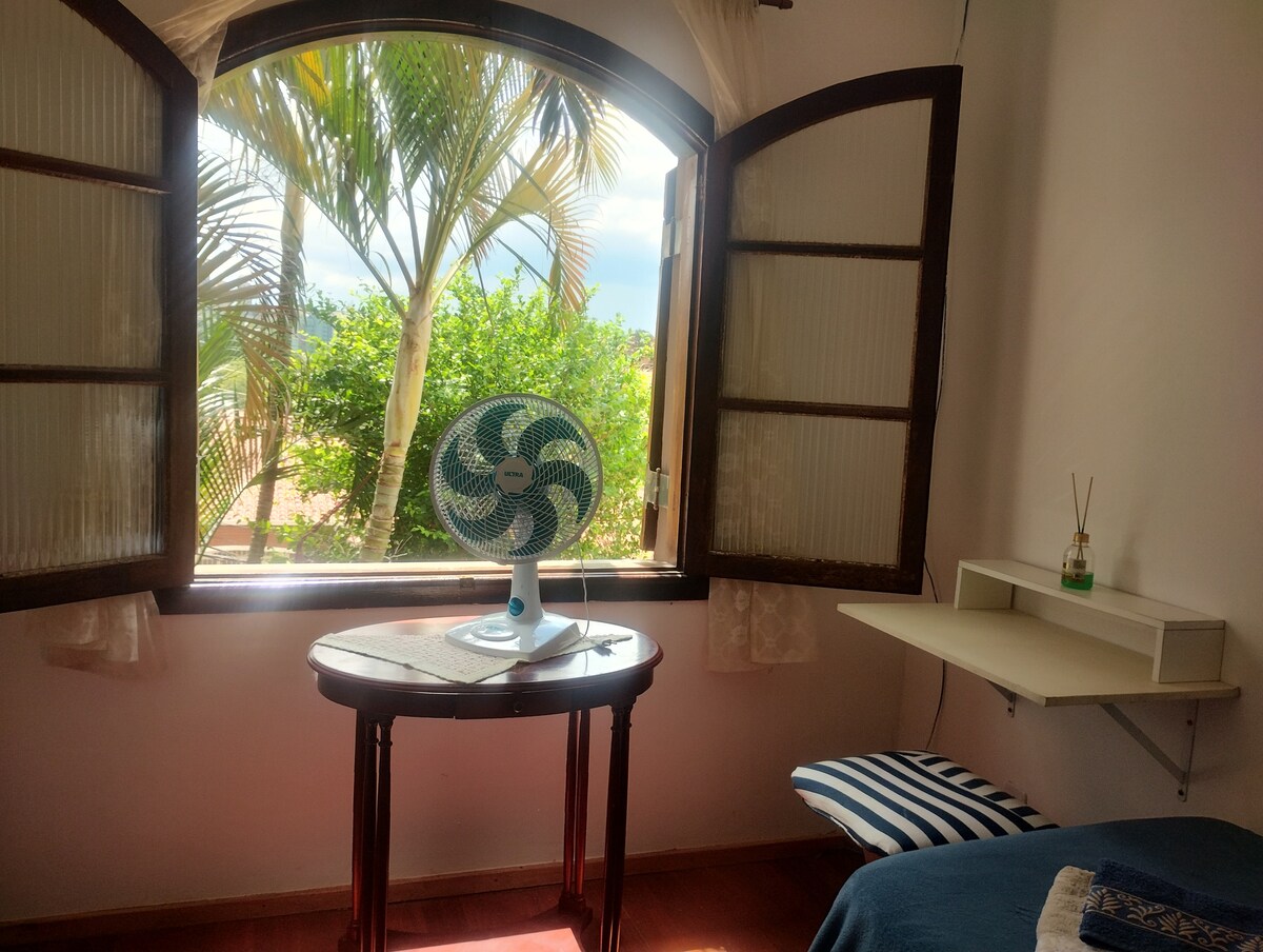 Linda vista mto verde, flores e plantas