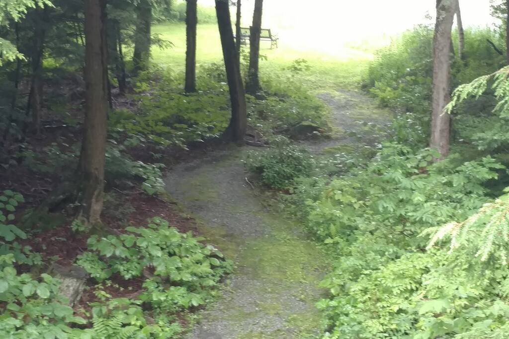 Take the short, zig-zag path to the lake that earned Crooked Cove its name...