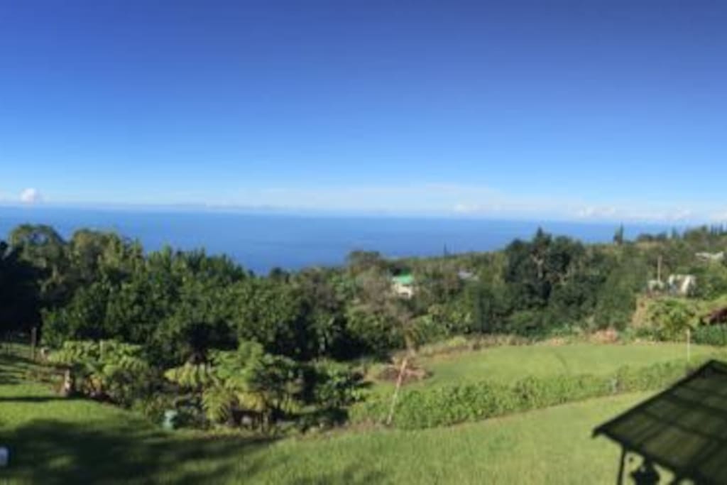 Start your morning with coffee, tea, mediation front yard