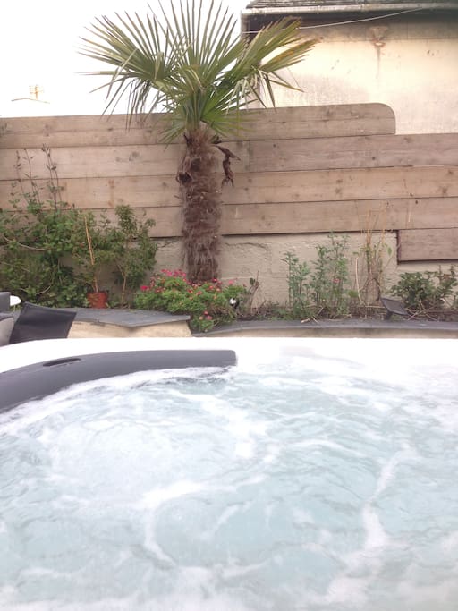 The jacuzzi hot tub.