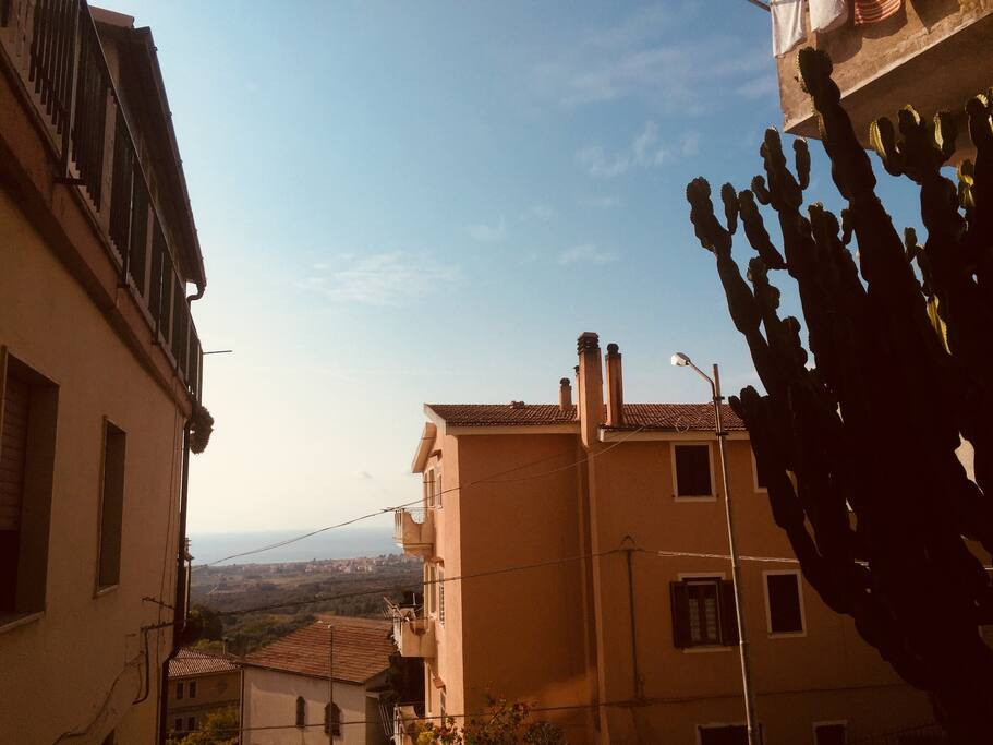 View from terrace