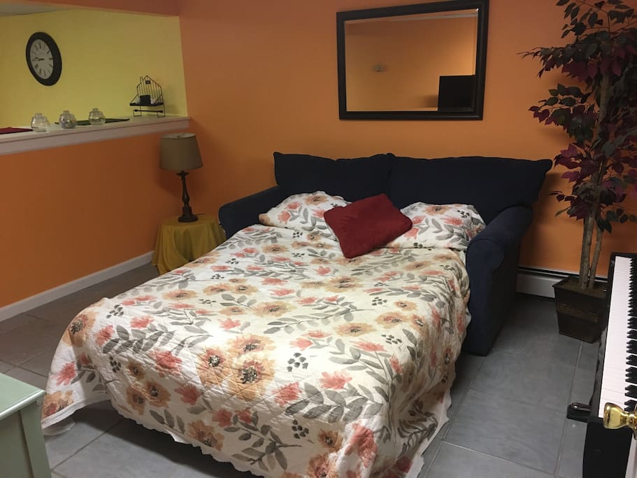 Pull out bed
