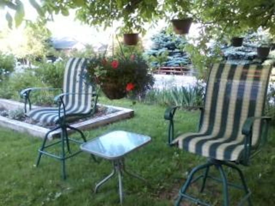Also large round glass-top table with 6 chairs now under this tree for eating outside.