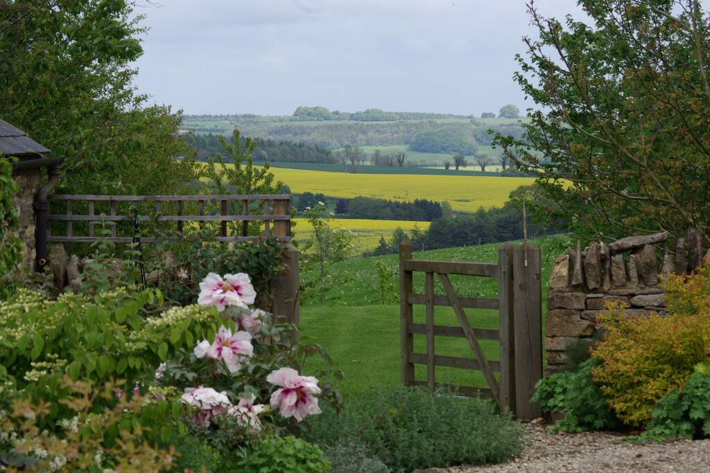 Adjoining woodland & paddock