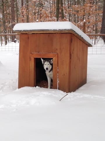 Airbnb Whiteface Mountain Vacation Rentals Places To Stay