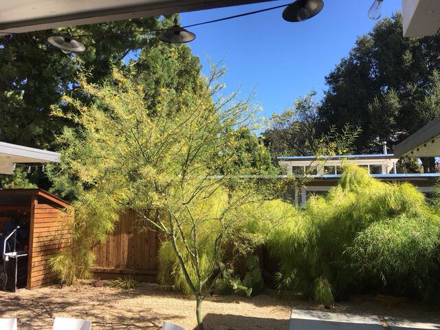 Peaceful and relaxing Eichler home gallery image 2