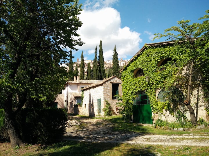 Hidden Gem in the Heart of Umbria