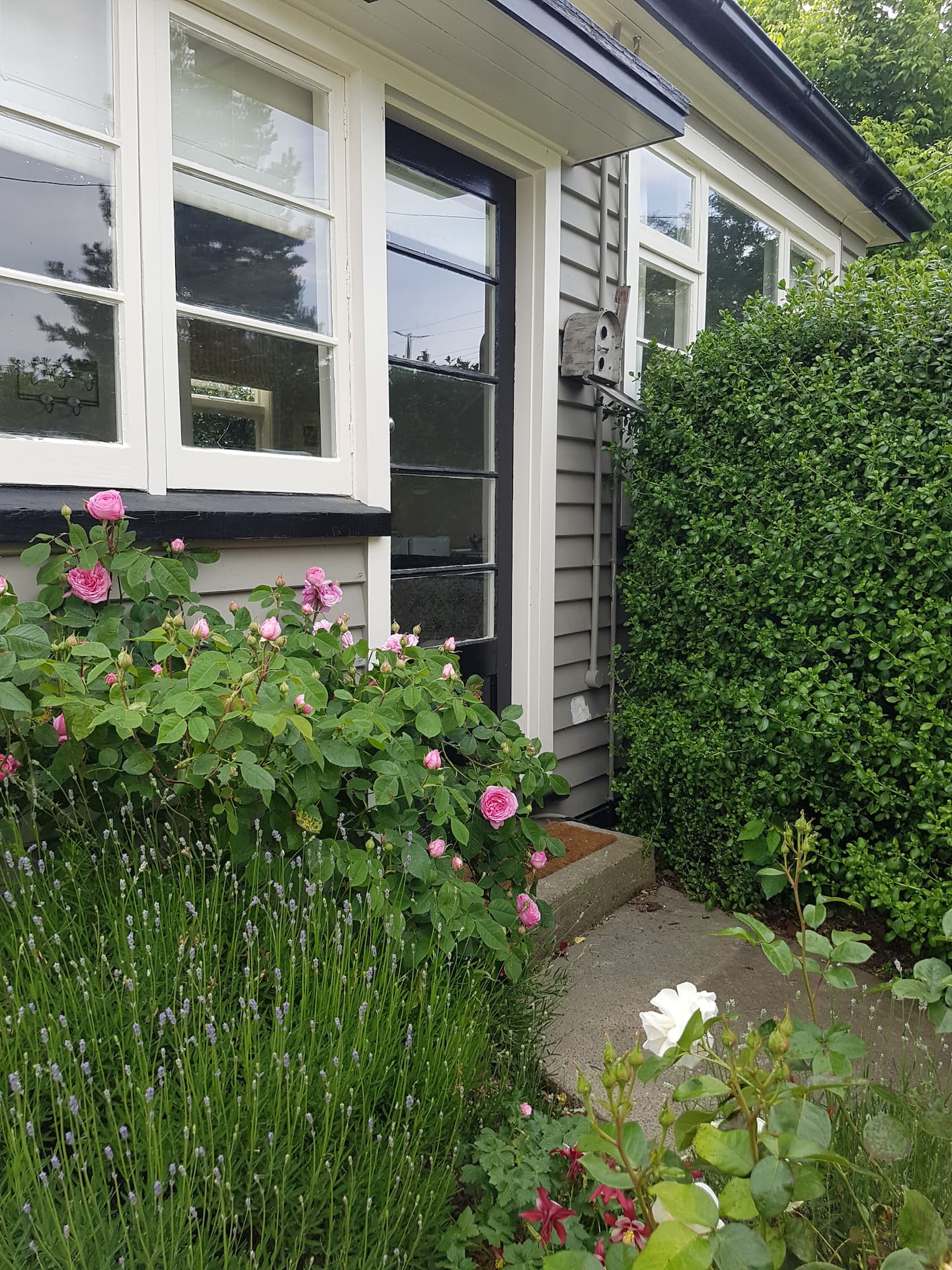 Darfield: Homebush School Cottage 3