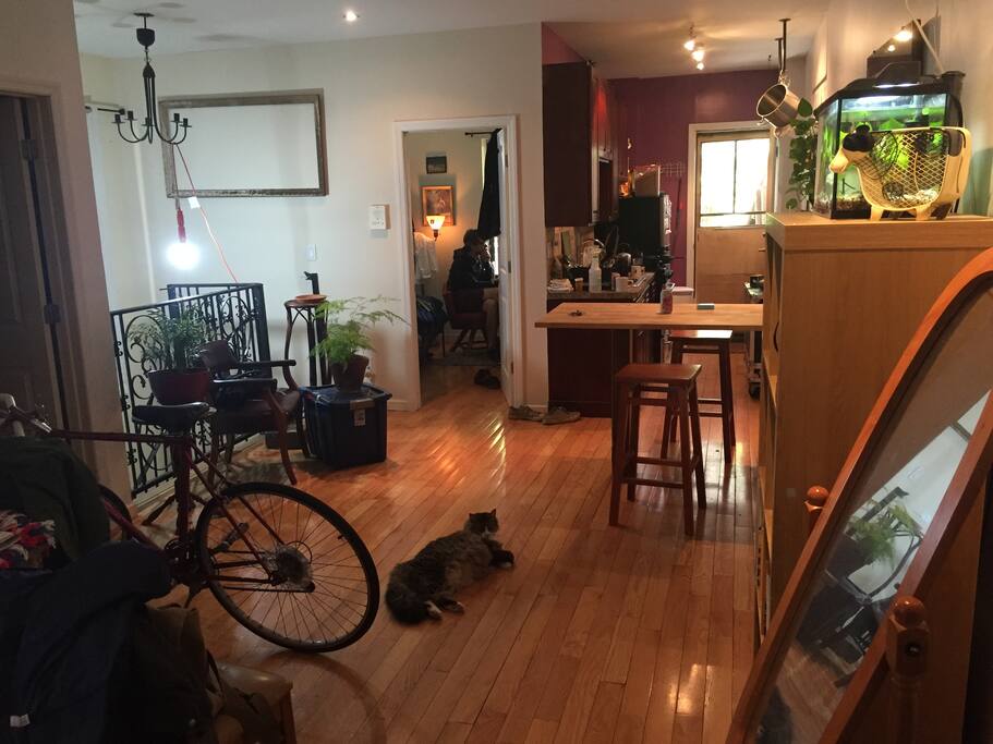Living Room/Kitchen